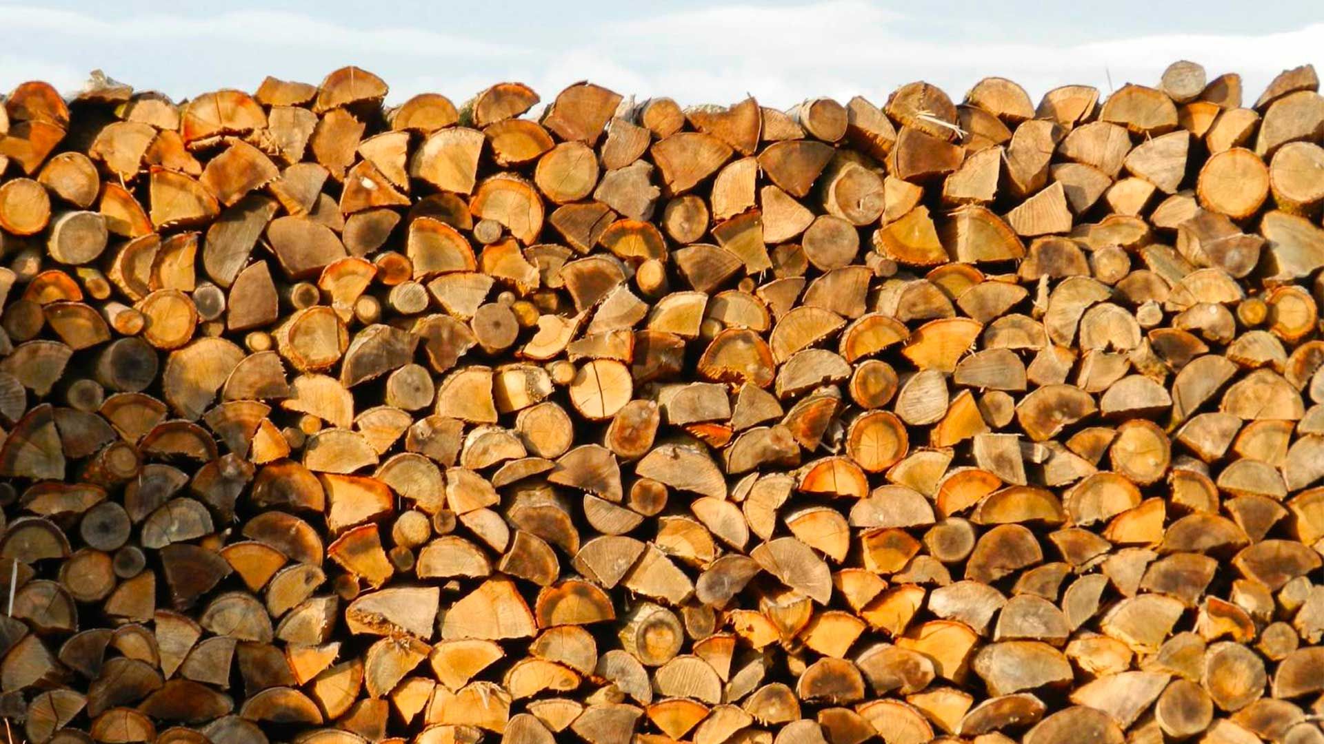 Bois de chauffage livré en vrac