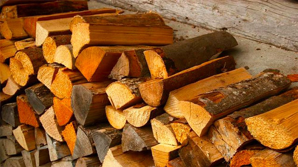 Bûches de bois de chauffage coupées en 30 cm