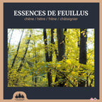 Box de bois fendu